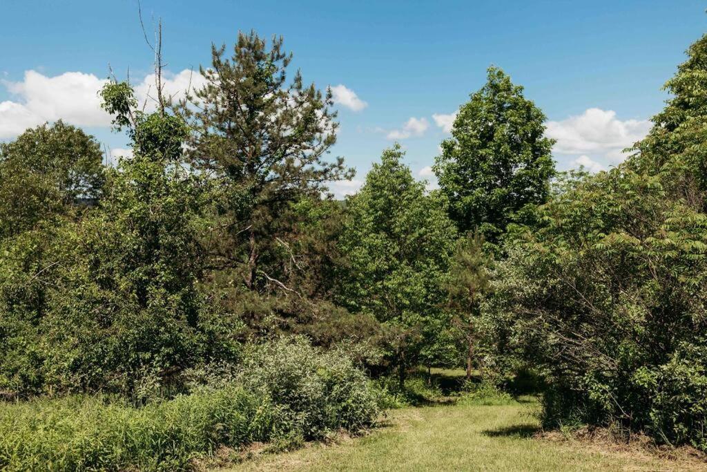 Rustic Ridge Villa Penn Yan Buitenkant foto